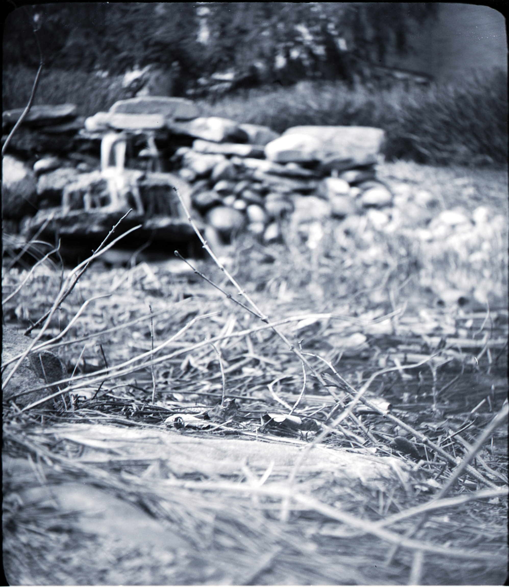 a black and white photo of some twigs and grass (in focus) in front of rocks and a small water feature (blurry)
